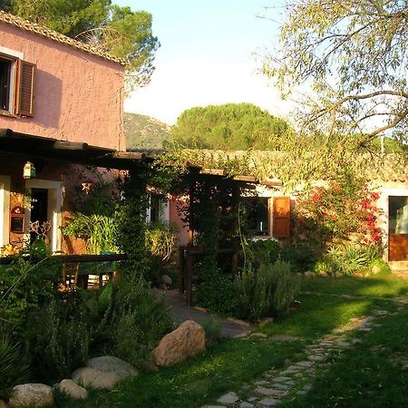San Gregorio  La Fattoria Delle Tartarughe 빌라 외부 사진