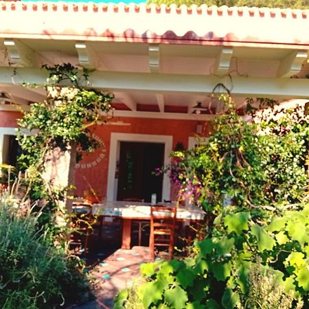 San Gregorio  La Fattoria Delle Tartarughe 빌라 외부 사진