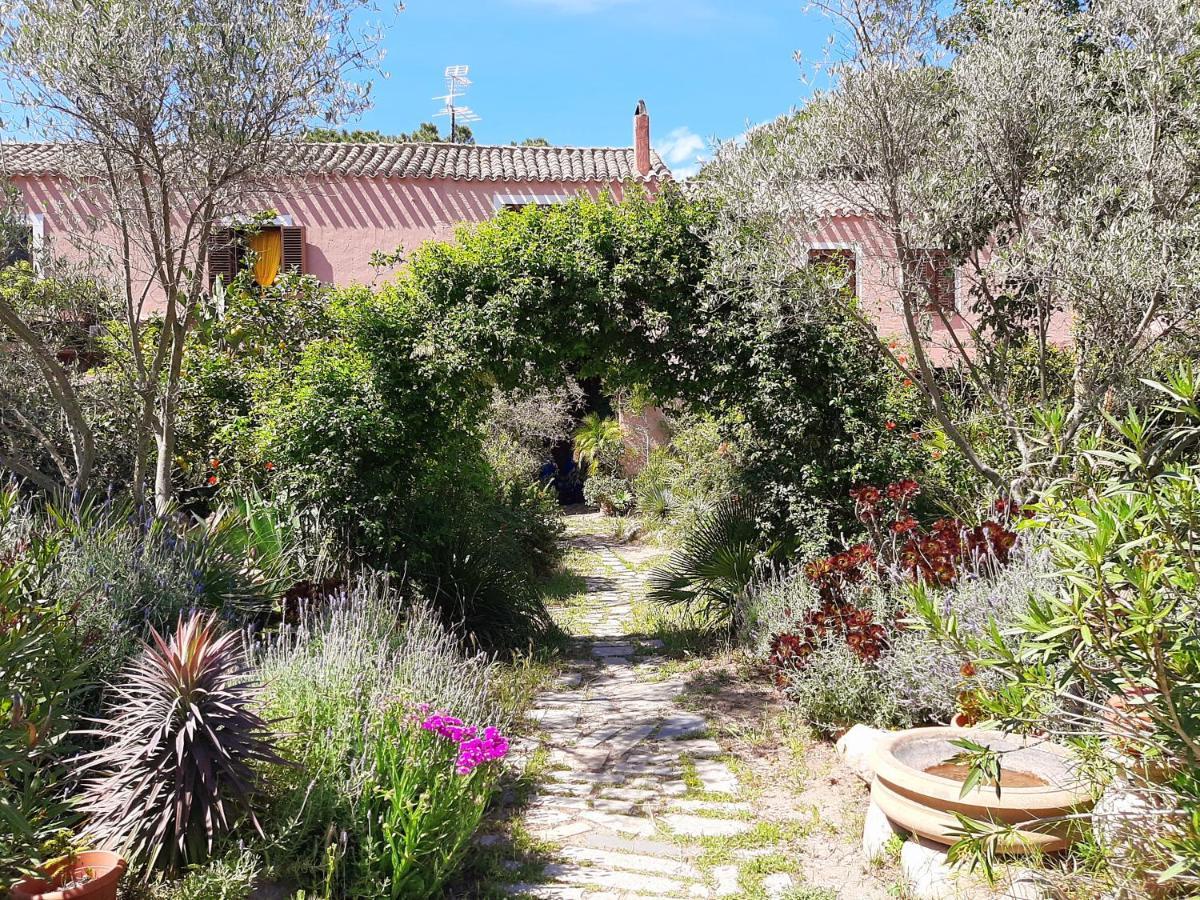 San Gregorio  La Fattoria Delle Tartarughe 빌라 외부 사진