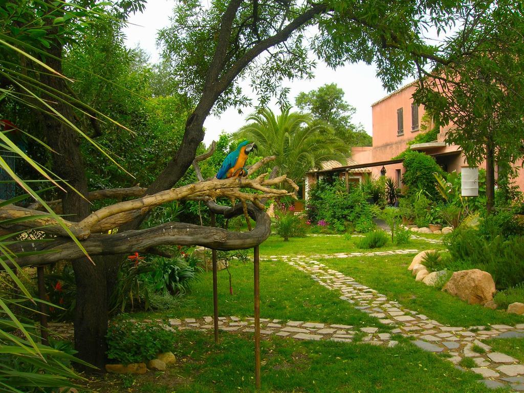 San Gregorio  La Fattoria Delle Tartarughe 빌라 외부 사진