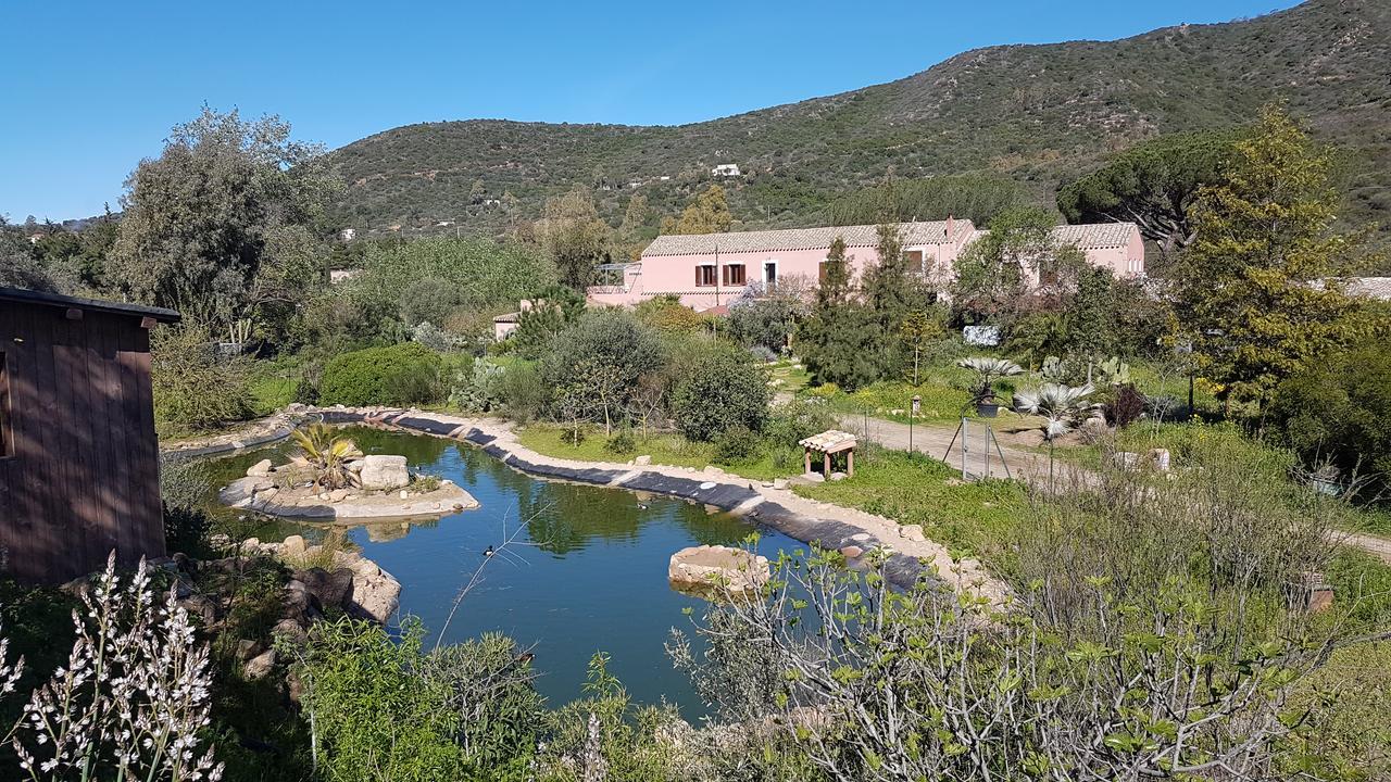 San Gregorio  La Fattoria Delle Tartarughe 빌라 외부 사진